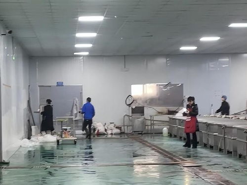 鹿哈毛肚爆單三千萬 品質危機與供應鏈誰人兜底？